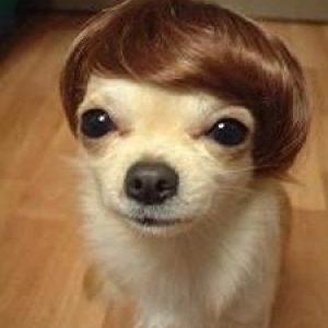 Helder referral code for  Naga